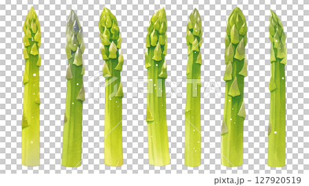 Illustration of asparagus lined up on transparent background (png) 127920519