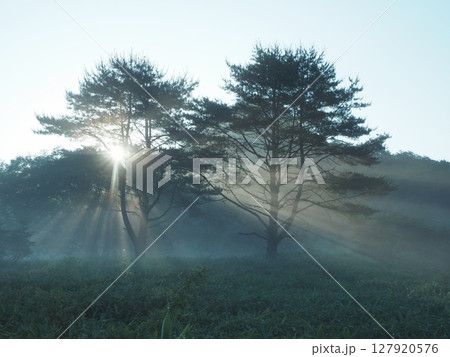 霧の榛名山の朝（20250629053243） 127920576