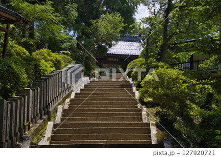 牛伏寺（ごふせじ）　山門への階段　長野県松本市 127920721