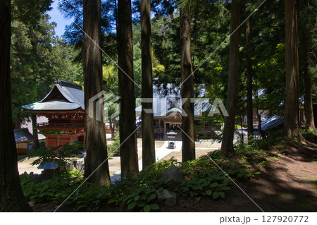 牛伏寺（ごふせじ）　仁王門と観音堂　長野県松本市 127920772