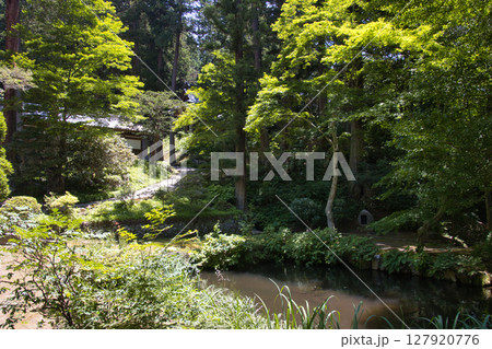 牛伏寺(ごふせじ) 境内の池 長野県松本市 牛伏寺(ごふせじ) 境内の池 長野県松本市 127920776