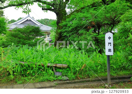 明日香村 橘寺 中門跡 明日香村 橘寺 中門跡 127920933