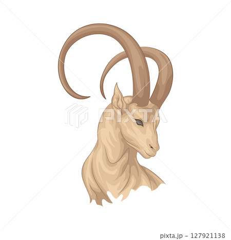 Illustration of Capricorn Illustration of Capricorn 127921138