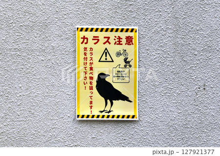 日本の横浜都市景観カラス注意 カラスが食べ物を狙ってます!気を付けて下さい!=横浜市内 日本の横浜都市景観カラス注意 カラスが食べ物を狙ってます!気を付けて下さい!=横浜市内 127921377