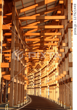 世界最大の木造建築物大阪関西万博の大屋根リング 世界最大の木造建築物大阪関西万博の大屋根リング 127921449