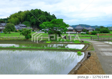 明日香村　川原寺跡弘福寺と田園風景 127921494