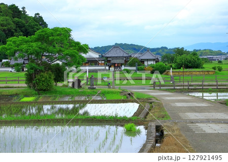 明日香村　川原寺跡弘福寺と田園風景 127921495