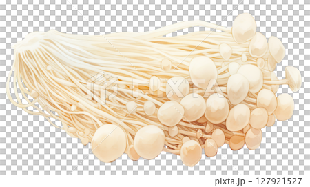 透明背景(png)にエノキのイラスト 透明背景(png)にエノキのイラスト 127921527