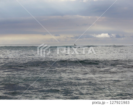 ハワイ ノースショア ハワイ ノースショア 127921983