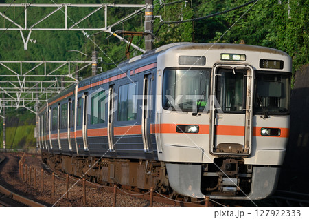 朝日を浴びて走る313系東海道線普通列車 127922333