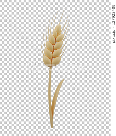 Stalk of Wheat Minimalist 3D Rendering in a Soft And Smooth Renderer 127922489