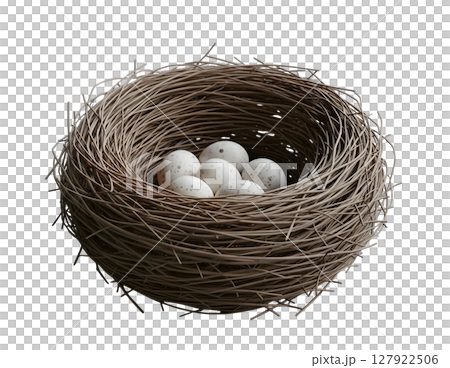 Birds Nest with Eggs Minimalist 3D Rendering in a Soft And Smooth Renderer 127922506