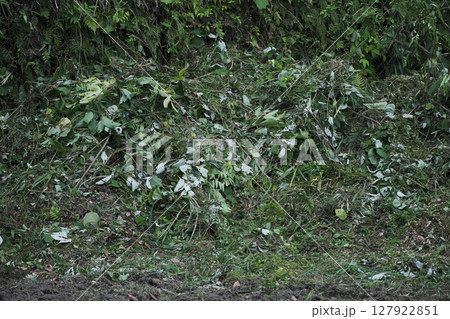 草刈り後の草の山 草刈り後の草の山 127922851
