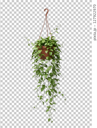 Green Trailing Plant in a Hanging Pot Minimalist 3D Rendering in a Soft And Smooth Renderer Green Trailing Plant in a Hanging Pot Minimalist 3D Rendering in a Soft And Smooth Renderer 127922970