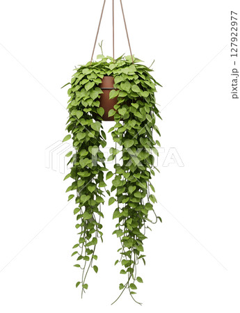 Green Trailing Plant in a Hanging Pot Minimalist 3D Rendering in a Soft And Smooth Renderer 127922977