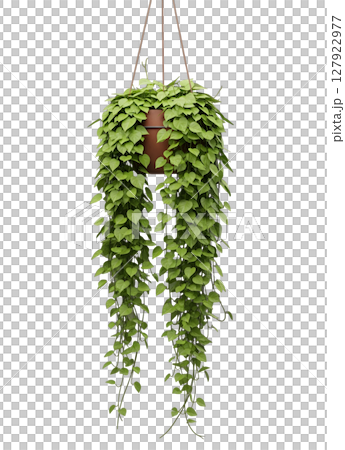 Green Trailing Plant in a Hanging Pot Minimalist 3D Rendering in a Soft And Smooth Renderer 127922977