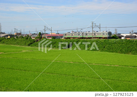 緑眩しい初夏の田園を走る養老鉄道 127923125