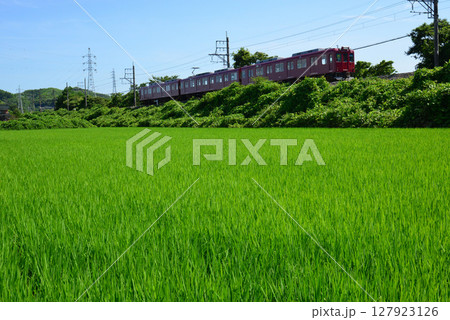 緑眩しい初夏の田園を走る養老鉄道 127923126