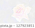 ”赤いバラの花”　イラストイメージ 127923851