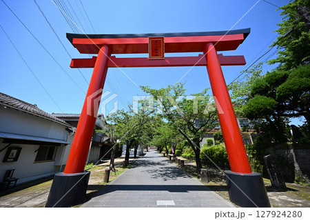 蒲生八幡神社の鳥居 蒲生八幡神社の鳥居 127924280