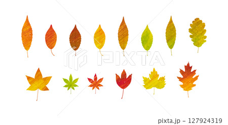 紅葉した秋の葉のベクターイラストセット　水彩絵の具の手描き風 127924319