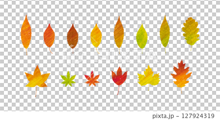 紅葉した秋の葉のベクターイラストセット　水彩絵の具の手描き風 127924319