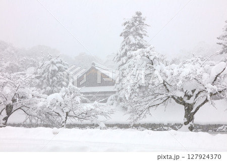 「国宝」彦根城・彦根城博物館（彦根市立歴史博物館）の雪景色/最強寒波の日/日本100名城 127924370