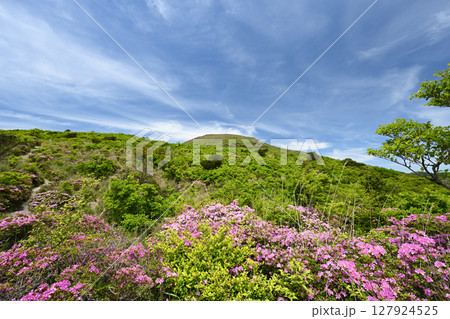 中岳とミヤマキリシマの花 127924525