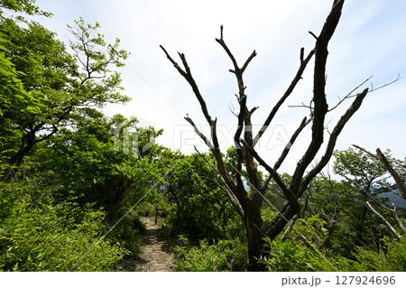 中岳の登山 中岳の登山 127924696