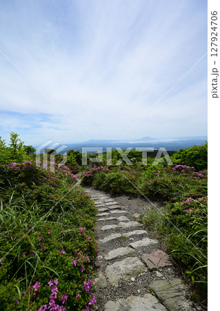 中岳中腹探勝路の石階段 中岳中腹探勝路の石階段 127924706