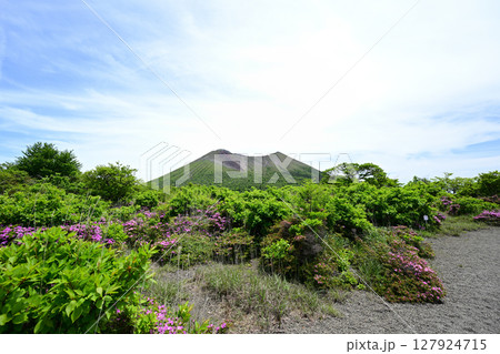 見頃を迎えた中岳のミヤマキリシマ 127924715