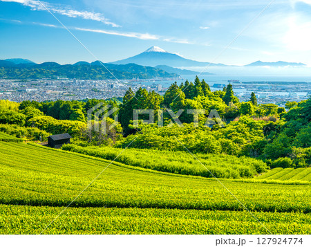 日本平から見た茶畑と清水港に富士山 日本平から見た茶畑と清水港に富士山 127924774