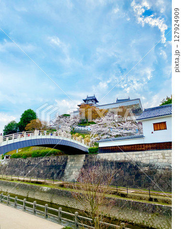 福知山城の桜 127924909