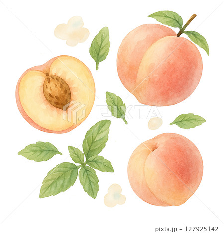 白桃とハーブリーフのナチュラル素材 水彩風切り抜き 127925142