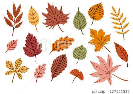Bright set of colorful autumn leaves in vector style Bright set of colorful autumn leaves in vector style 127925523