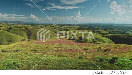Wild horses grazing on colorful meadow with green hills and blue sea on the horizon in Sumba Island, Indonesia, an idyllic landscape captured by drone Wild horses grazing on colorful meadow with green hills and blue sea on the horizon in Sumba Island, Indonesia, an idyllic landscape captured by drone 127925583