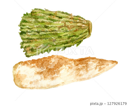 ぬか漬け大根の手描き水彩イラスト ぬか漬け大根の手描き水彩イラスト 127926179