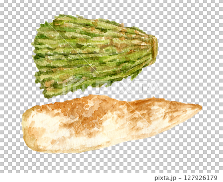 ぬか漬け大根の手描き水彩イラスト ぬか漬け大根の手描き水彩イラスト 127926179