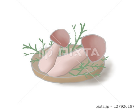 かごに入ったマツタケのイラスト 127926187