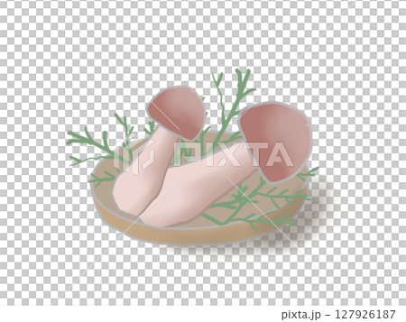 籃子裡的松茸插圖 127926187