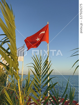 The Turkish flag flutters in the wind over the sea among the green leaves of palm trees. The Turkish flag flutters in the wind over the sea among the green leaves of palm trees. 127926275