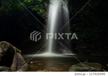 真夏の渓谷、白藤の滝 127926990