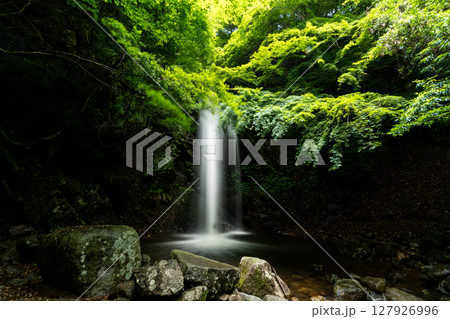 真夏の渓谷、白藤の滝 127926996