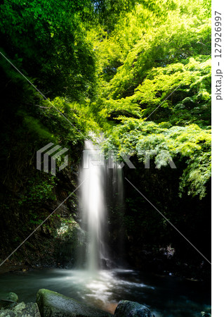 真夏の渓谷、白藤の滝 127926997