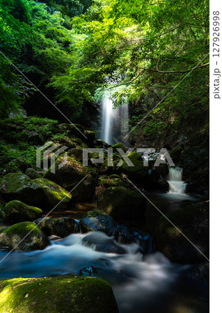 真夏の渓谷、白藤の滝 127926998
