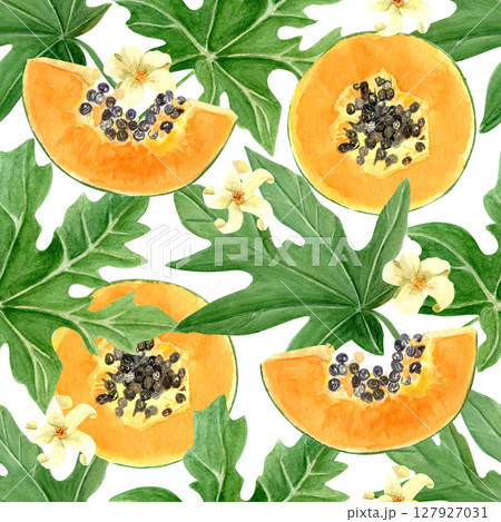 Papaya fruit slice, leaf and flowers watercolor seamless border isolated on white. Hand drawn illustration perfect for cards, banners, tape, textile, stationary design. Exotic plant clipart. Lush 127927031