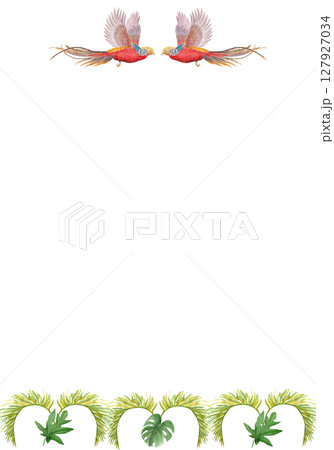 Tropical birds with palm leaves watercolor vertical frame on white background. Hand-painted perfect for stationery, fabric prints, summer projects, cards. Golden pheasant. Horizontal. Flying standing Tropical birds with palm leaves watercolor vertical frame on white background. Hand-painted perfect for stationery, fabric prints, summer projects, cards. Golden pheasant. Horizontal. Flying standing 127927034