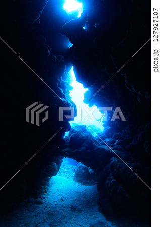 西表島の海　ダイビングの風景 127927107