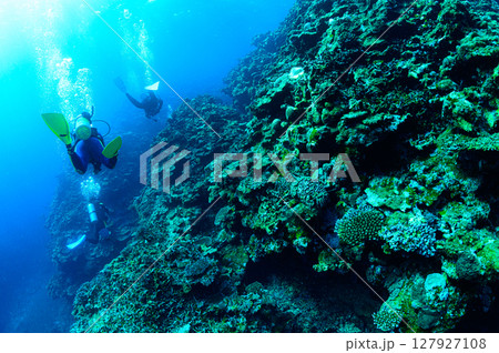 西表島の海　ダイビングの風景 127927108