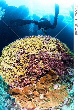 西表島の海　ダイビングの風景 127927322